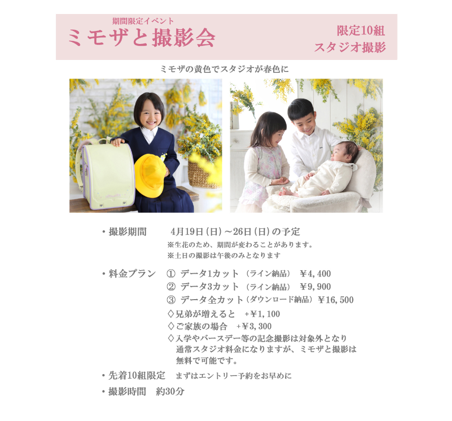 入園　入学　キャンペーン　ロケ　撮影　桜　菜の花　プラン